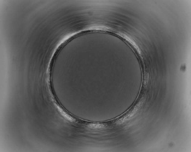 X0000099291037200805231316