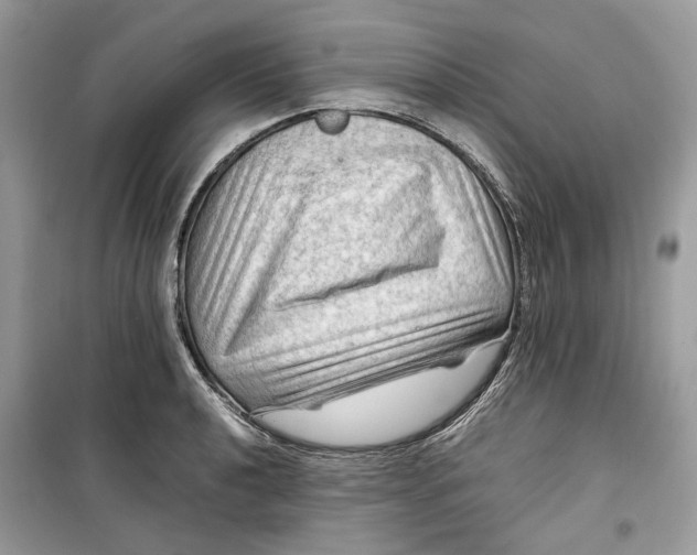 X0000099291040200805231316