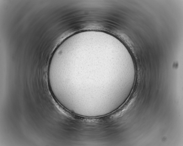 X0000099291041200805231316