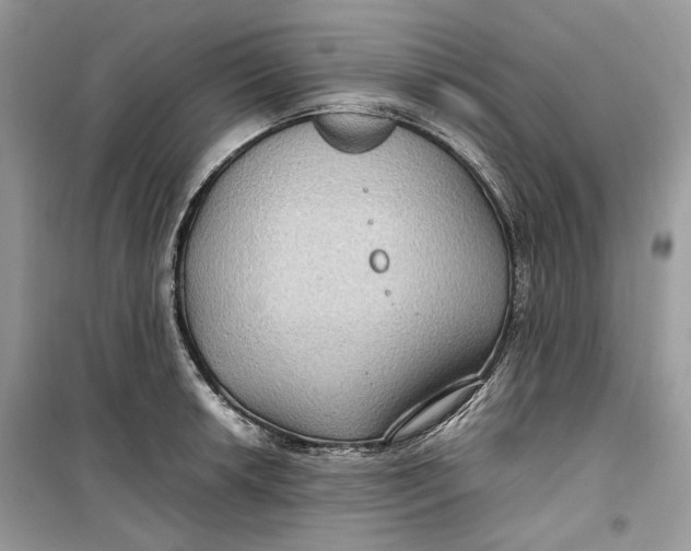 X0000099291042200805231317