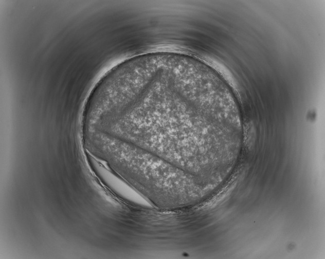 X0000099291043200805231317