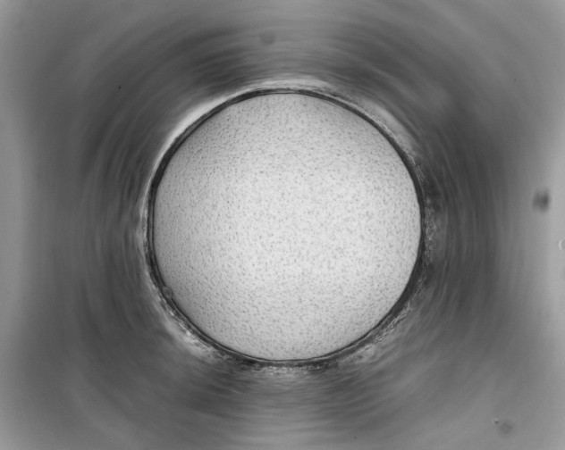 X0000099291044200805231317