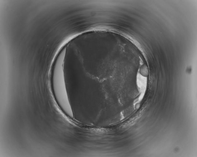 X0000099291045200805231317