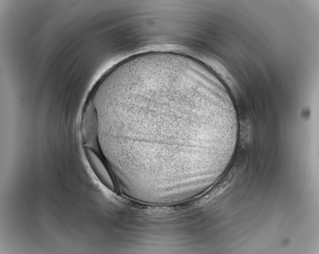 X0000099291046200805231317