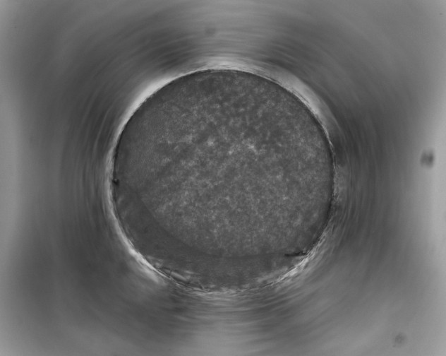 X0000099291048200805231317