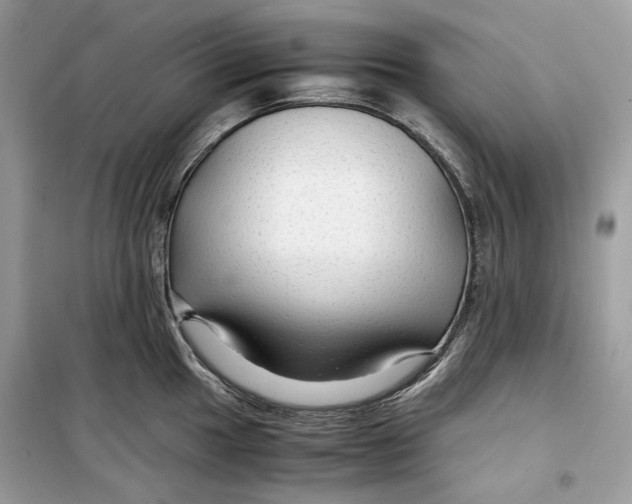 X0000099291049200805231317