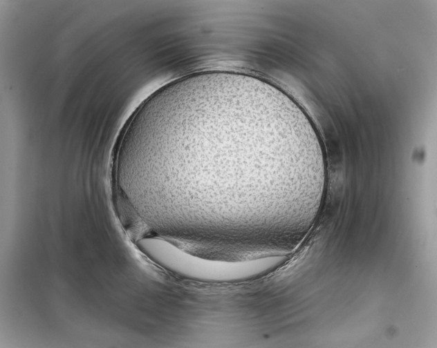 X0000099291050200805231317