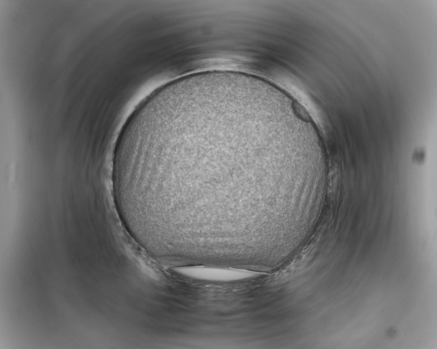 X0000099291051200805231317