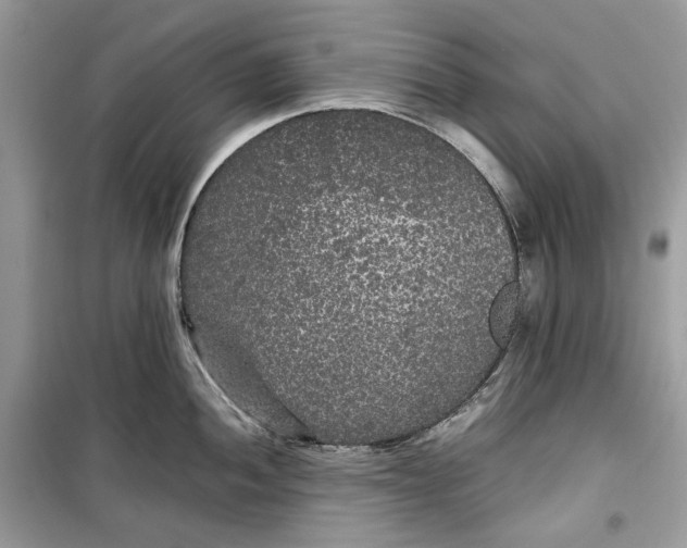 X0000099291052200805231317