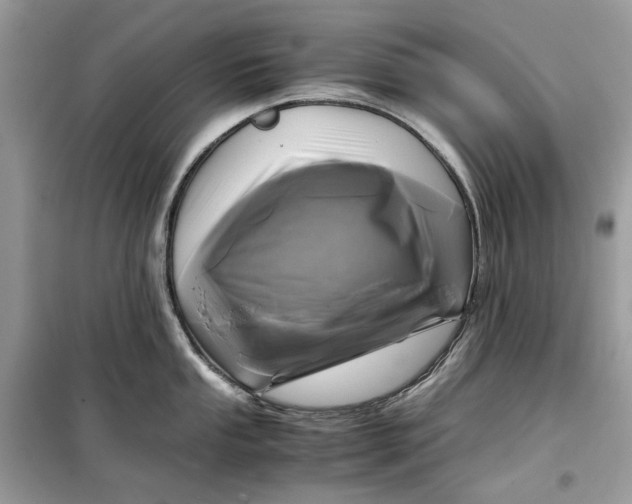 X0000099291053200805231317