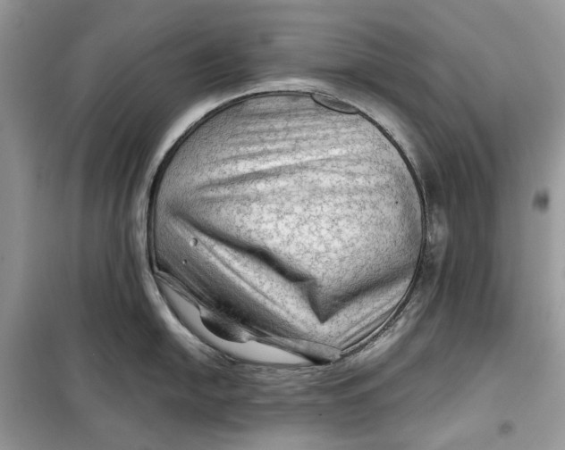 X0000099291054200805231317