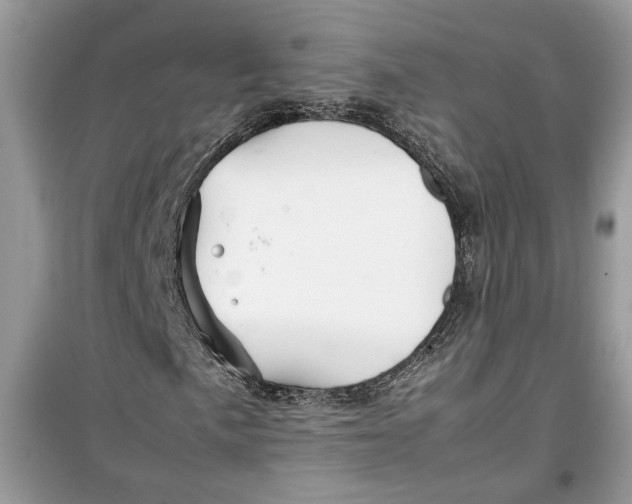 X0000099291057200805231316