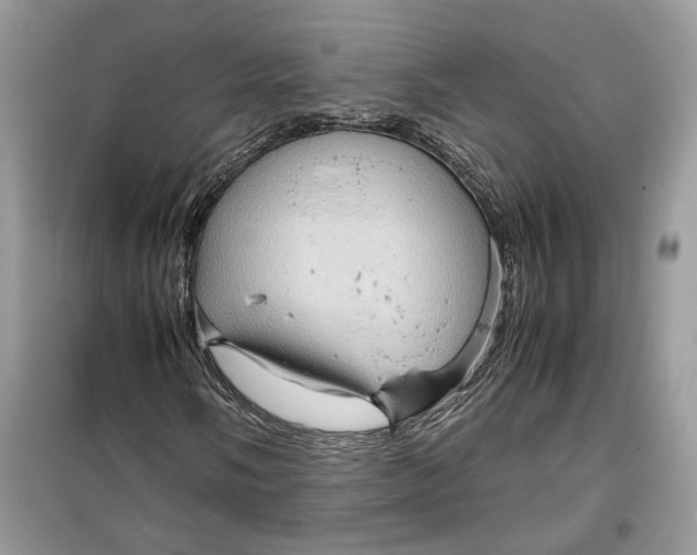 X0000099291058200805231316