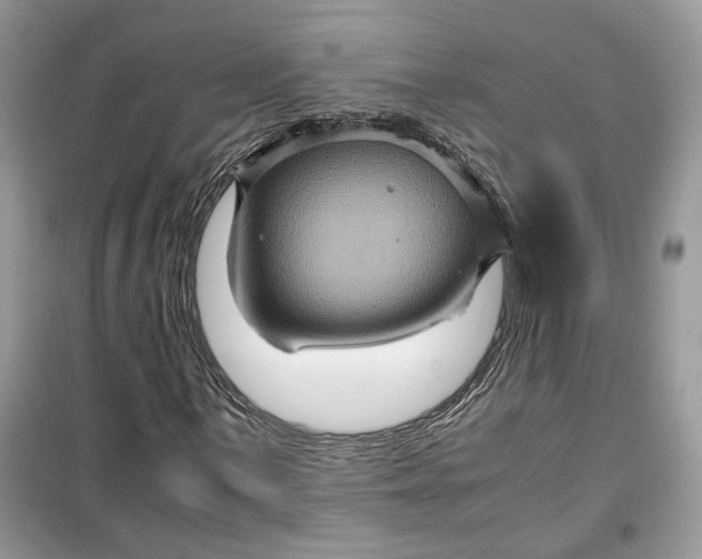 X0000099291059200805231316