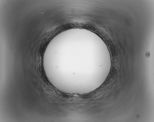 X0000099291061200805231316