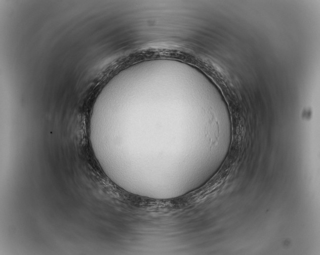 X0000099291062200805231316