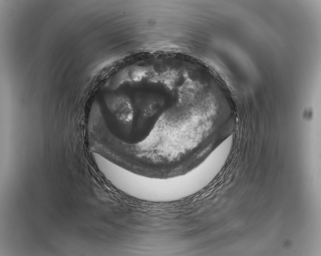 X0000099291063200805231316