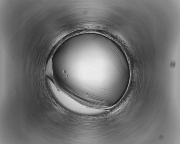 X0000099291065200805231316