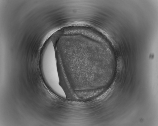 X0000099291066200805231316