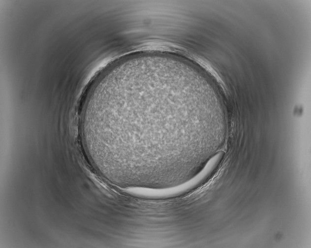 X0000099291067200805231316