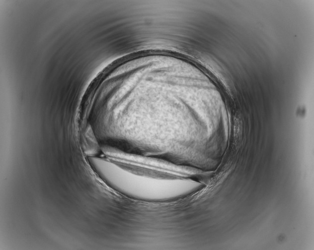 X0000099291068200805231316