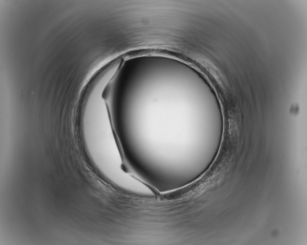 X0000099291069200805231316