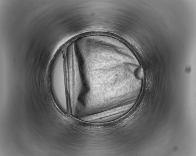 X0000099291070200805231316