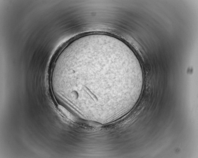 X0000099291072200805231316