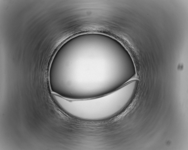 X0000099291073200805231316