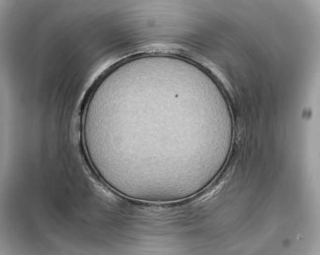 X0000099291075200805231316