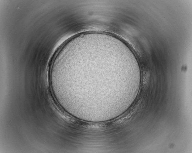 X0000099291078200805231316