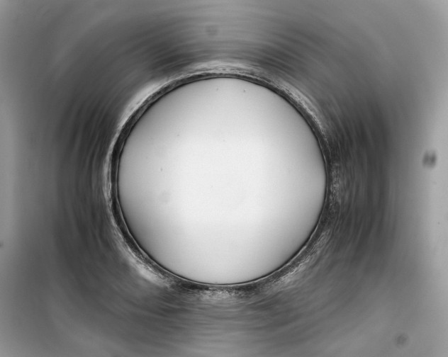 X0000099291082200805231316