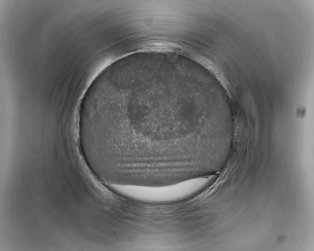 X0000099291083200805231315