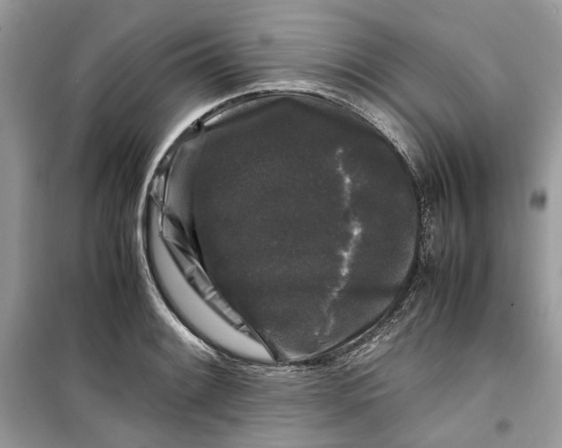 X0000099291084200805231315