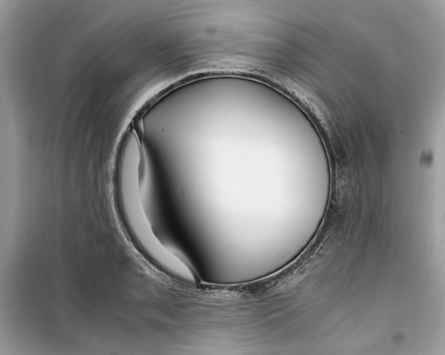 X0000099291085200805231315