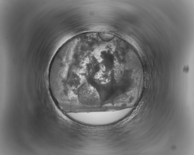 X0000099291087200805231315