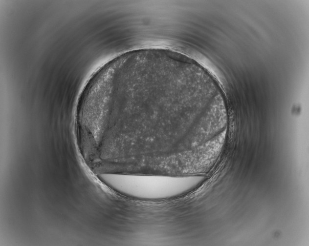 X0000099291088200805231315