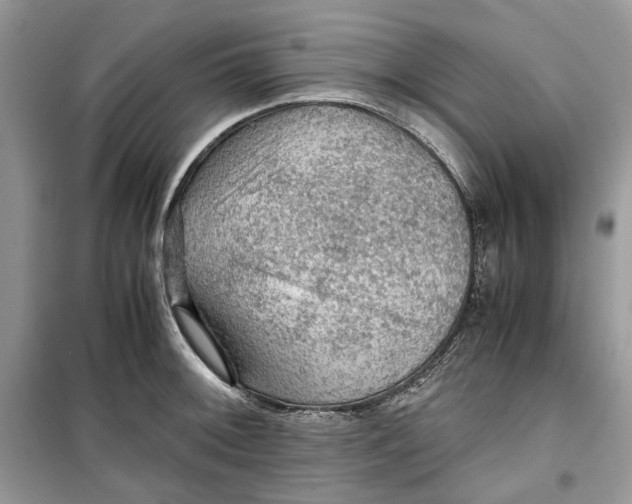 X0000099291092200805231315