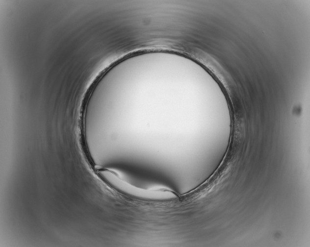 X0000099291093200805231315