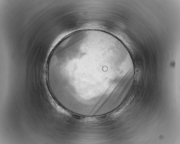 X0000099291094200805231315