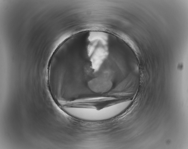 X0000099291095200805231315