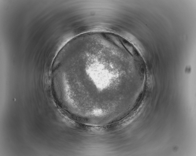 X0000099291097200805231315