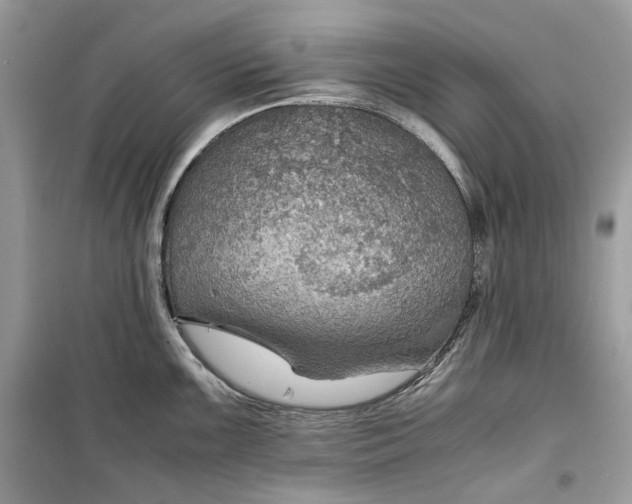 X0000099291099200805231315