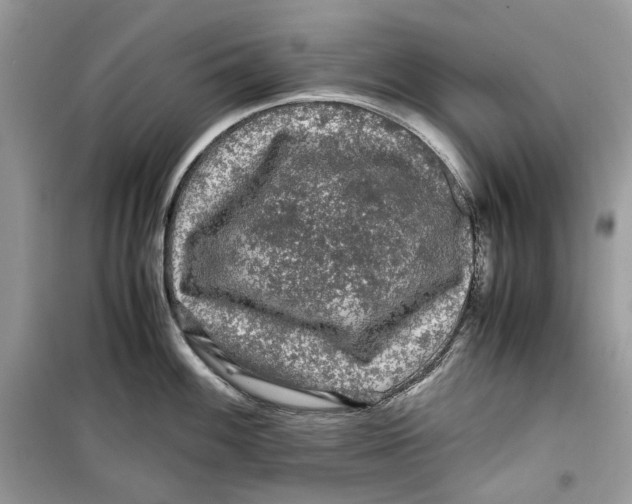 X0000099291100200805231315