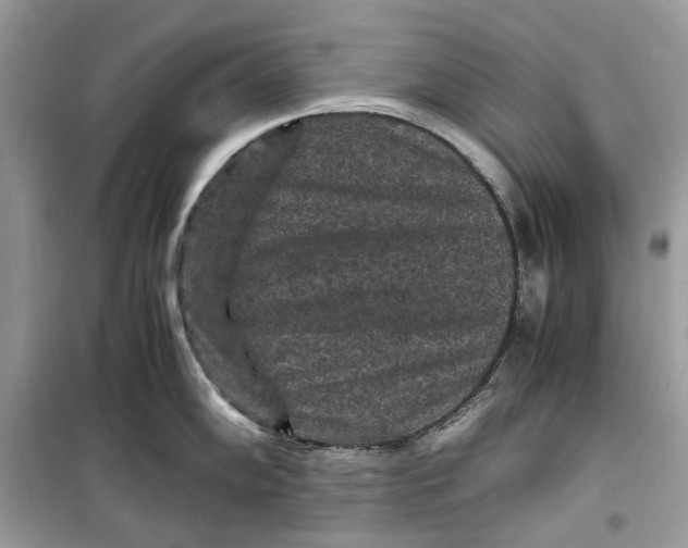 X0000099291102200805231315