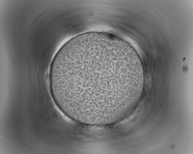 X0000099291103200805231315