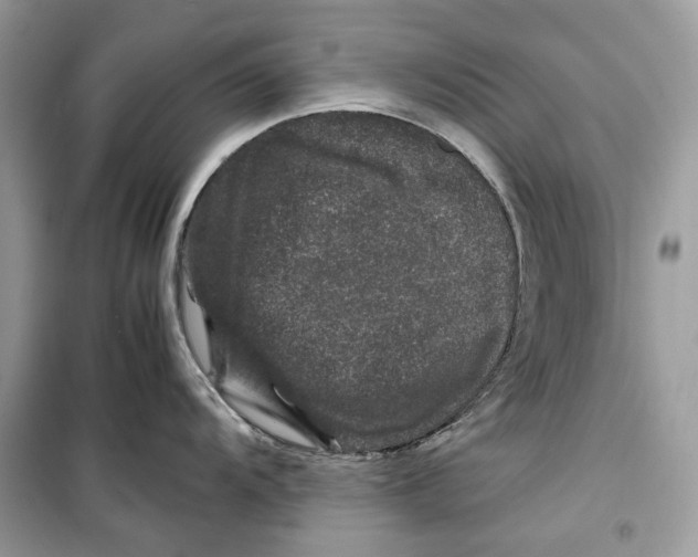 X0000099291104200805231315