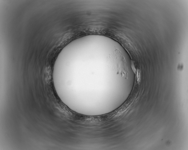 X0000099291107200805231314