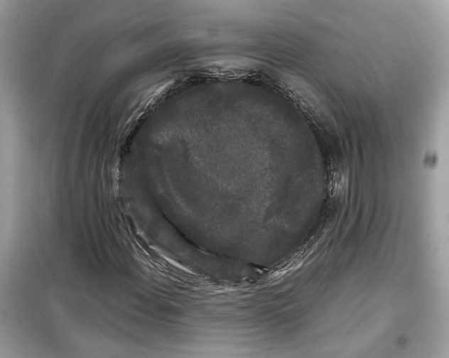 X0000099291108200805231314