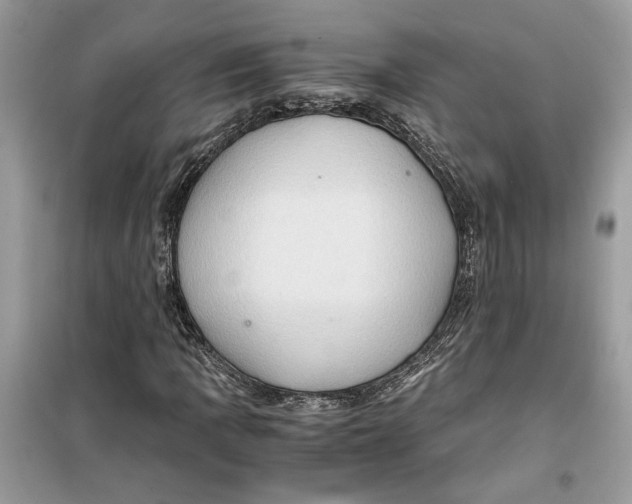 X0000099291109200805231314